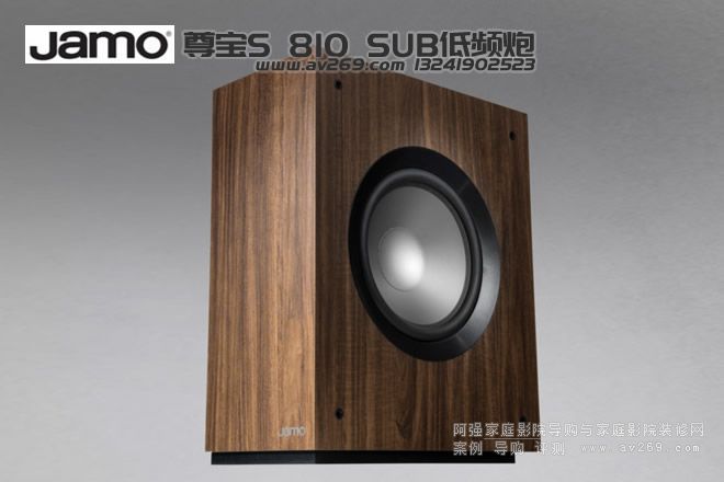 ����S810SUB 10Ӣ�������
