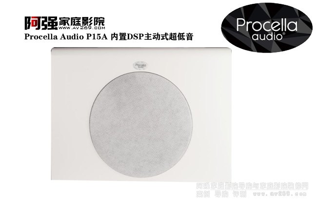 Procella Audio P15A ����DSP����ʽ��������