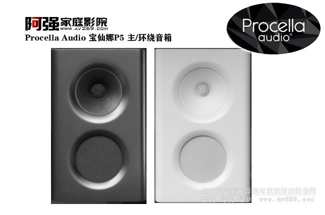 Procella Audio ������P5 ��/�h�@����