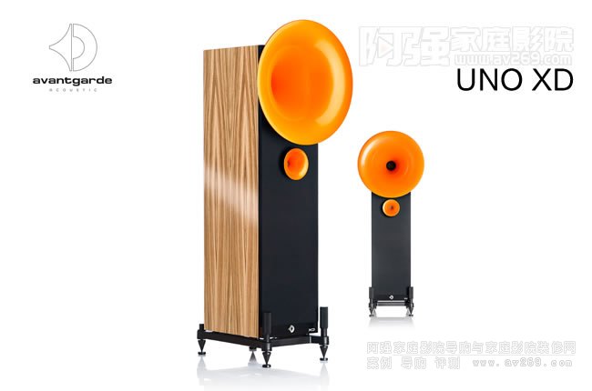 ���Ȼ�AVantgarde UNO XD̖��������1000W����DSP������