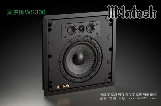 �����DMcIntosh WS300 �뉦ʽ����