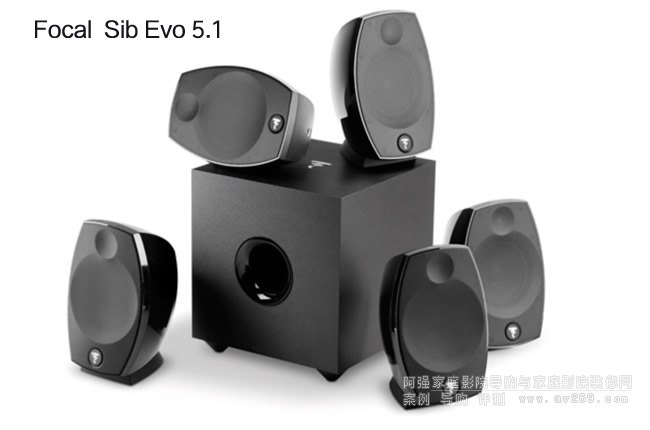 Focal Sib Evo 5.1�l(w��i)���������b