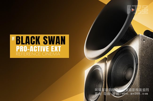 ��˹�D��Ş̖(h��o)������THE BLACK SWAN ACTIVE EXT RC