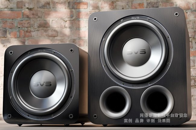 SVS 3000 R|Evolutionϵ�е����ڣ�������ӆ�Ԫ��DSP�͸������ʡ����F������
